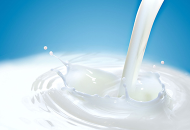 全球首条驴奶生产线投产