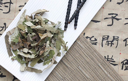 姜良铎：排毒养生可保持人体管道畅通