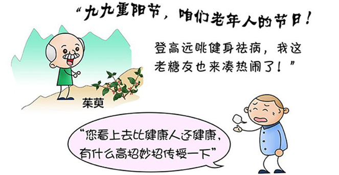 重阳登高望远眺 血糖监测风向标