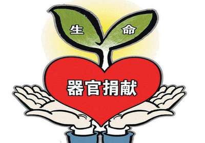 器官捐献