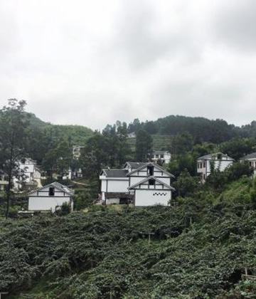 贵州修文：猕猴桃带来的“山乡之变”