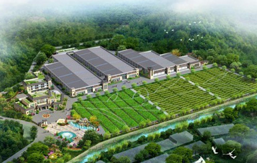 全球首个药用昆虫美洲大蠊的基因组图谱发布