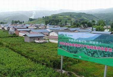 产业扶贫＋中医药 &ldquo;好医生&rdquo;瞧好了大山里的&ldquo;贫困病&rdquo;