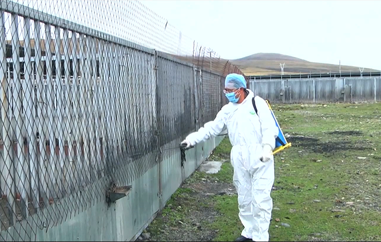 致敬伟大改革｜对话40年，讲述身边的健康故事（第二十一集）&mdash;&mdash;送瘟神