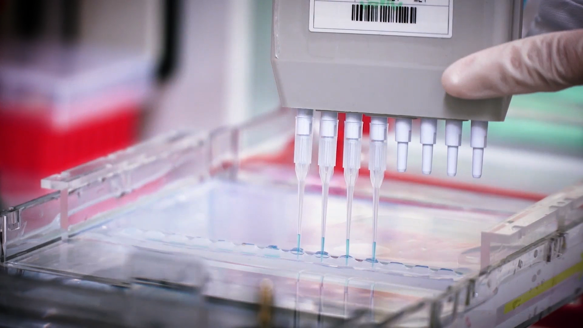 致敬伟大改革｜对话40年，讲述身边的健康故事32&mdash;打破医学禁区，探寻生命奇迹