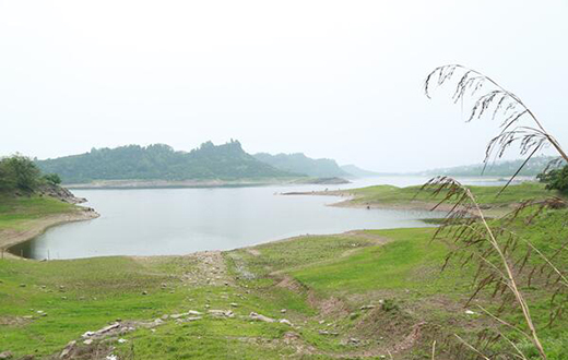 探访长寿湖太极岛：健康身心&ldquo;养&rdquo;出来