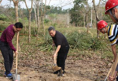 太极集团屯昌医疗养生项目开工 打造世界级医疗养生区