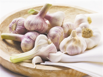 大蒜素可殺死幽門螺旋桿菌？最多只能降低感染概率
