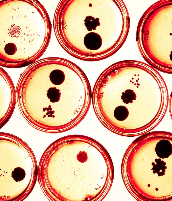 感染管理事关医疗安全全程