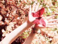 以花疗人：花朵养生系列访谈