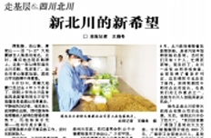 中国医药报（9月14日刊）