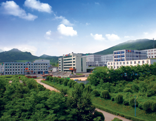 引进高新设备力求药品质量精益求精