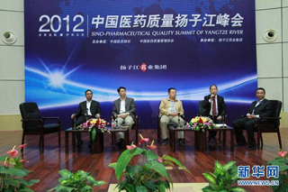 中国医药质量扬子江峰会座谈讨论会现场