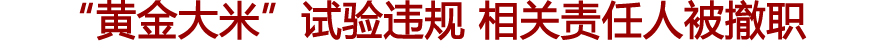 “黄金大米”试验违规 相关责任人被撤职