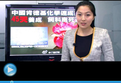 权威声音：&ldquo;快时代&rdquo;究竟还有什么可以速成？