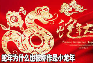蛇年为什么也被称作是小龙年