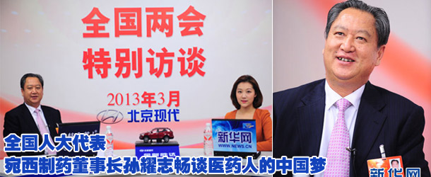 宛西制药董事长孙耀志做客新华网