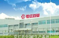 广西花红药业股份有限公司