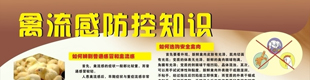 防治人感染高致病性禽流感的关键是什么？