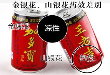 麻烦事之二：王老吉疑用山银花替金银花　降火变上火