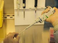 禽流感已确诊38例人感染病例 死亡10人