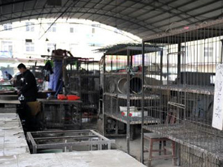 郑州新增禽流感患者所在地家禽宰杀点全部清空