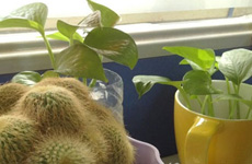 办公室里的那些伤身雷区【图】