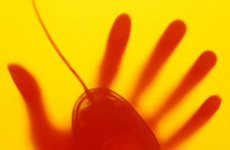 白领易患"鼠标手"病 鼠标手的症状及防治