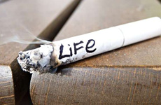 日本：不能在互联网上做商品广告