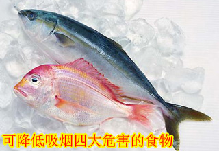 可降低吸烟四大危害的食物【组图】