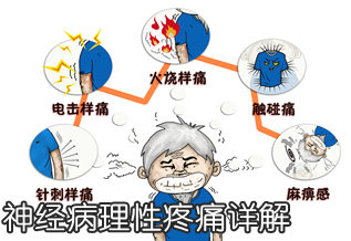 中国科学院院士韩济生：神经病理性疼痛