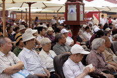 中医科普名家讲坛现场座无虚席