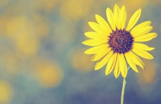 抗癌协会：对“癌症性格”说“不”