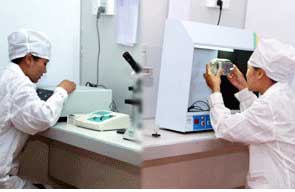 河北(冀衡集团)华威武罗药业有限公司