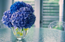 四种人易得青光眼