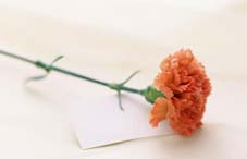 护肾5字诀　&ldquo;泡、水、高、贫、倦&rdquo;