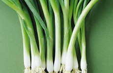 养生：春天吃点葱和蒜