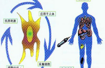 生物疗法的原理是什么