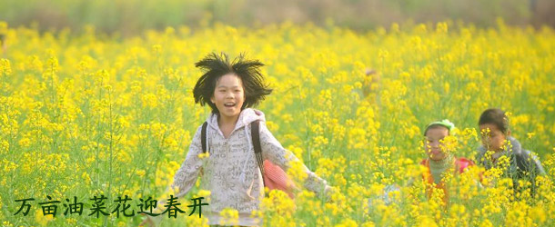 万亩油菜花迎春开