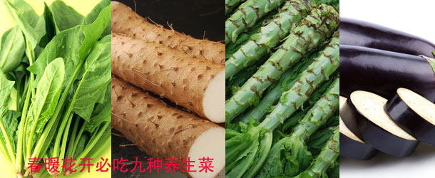 春暖花开必吃九种养生菜