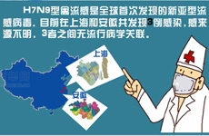 图解H7N9型禽流感