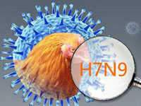 中科院发现H7N9病毒基因重配模式