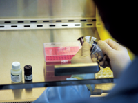 全国确诊H7N9禽流感病例63例 死亡14人