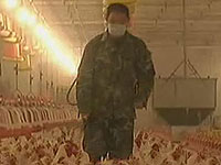 人身保险产品可保障禽流感疾病