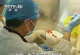 H7N9散发病例可能进一步出现
