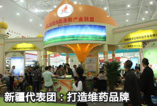 新疆代表团：打造维药品牌