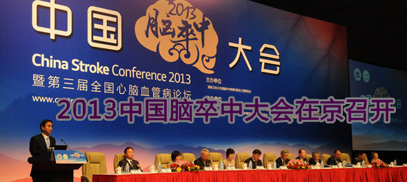 2013年中国脑卒中大会在京召开