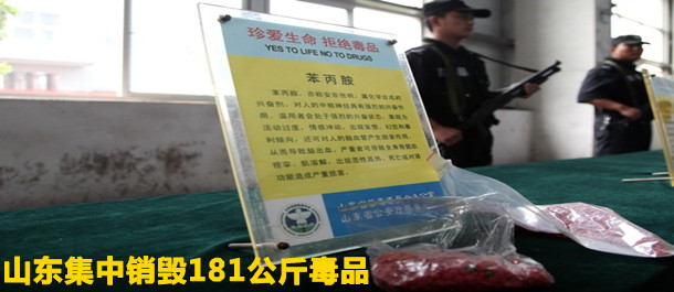 山东集中销毁181公斤毒品