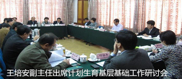 王培安副主任出席计划生育基层基础工作研讨会