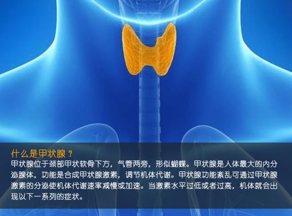 关注甲状腺健康，你应该知道的那些事